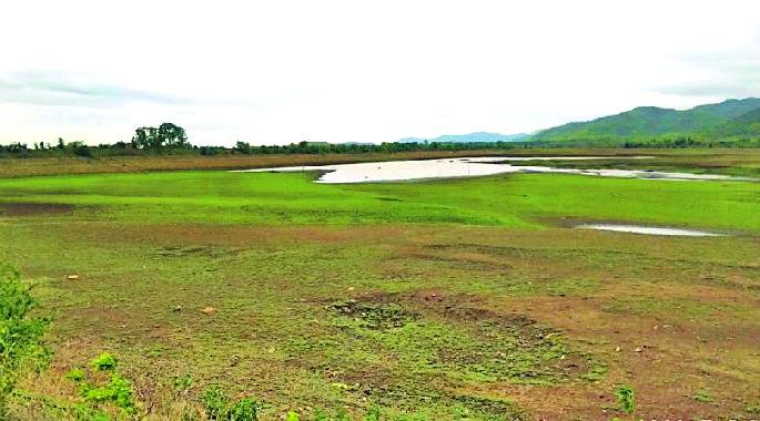 Screw the irrigation project | सिंचन प्रकल्प तहानले