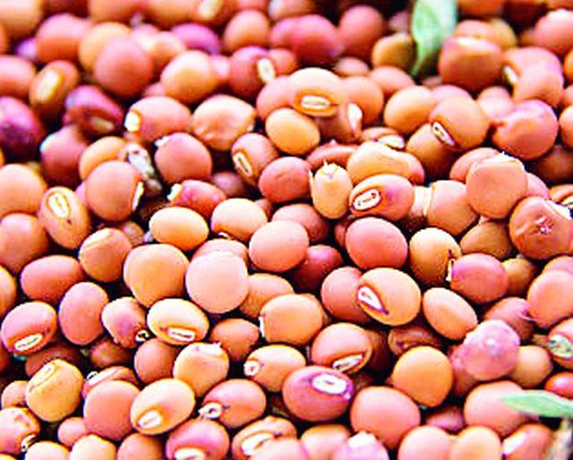 One thousand help is pure fraud | एक हजाराची मदत ही शुद्ध फसगत