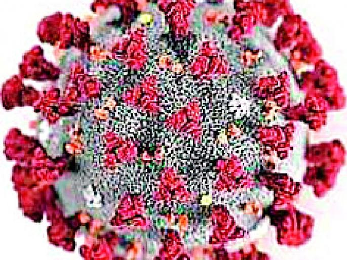 59 positive in the district, total 914 | जिल्ह्यात ५९ पॉझिटिव्ह, एकूण ९१४ 59 positive in the district, total 914 | जिल्ह्यात ५९ पॉझिटिव्ह, एकूण ९१४