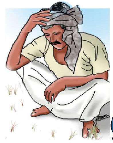 Most of the farmers are deprived of the scheme | गाजावाजा केलेल्या योजनेपासून बहुतांश शेतकरी वंचित Most of the farmers are deprived of the scheme | गाजावाजा केलेल्या योजनेपासून बहुतांश शेतकरी वंचित