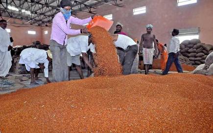 Will start a government procurment cente | या वर्षी तुरीचे शासकीय खरेदी केंद्र सुरू होतील का?