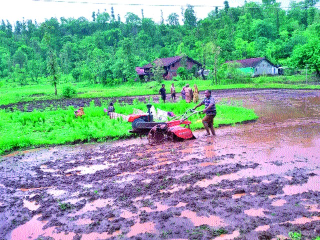 Tribals have embraced modern farming | आदिवासींनी धरली आधुनिक शेतीची कास Tribals have embraced modern farming | आदिवासींनी धरली आधुनिक शेतीची कास