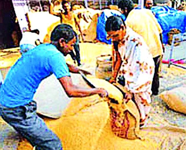 Ten lakh beneficiaries in food security | अन्न सुरक्षेत दहा लाख लाभार्थी Ten lakh beneficiaries in food security | अन्न सुरक्षेत दहा लाख लाभार्थी