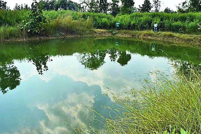60 thousand vegetables in a single area | एका एकरात पिकविला ६० हजारांचा भाजीपाला 60 thousand vegetables in a single area | एका एकरात पिकविला ६० हजारांचा भाजीपाला