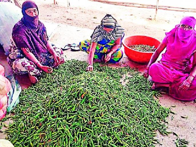 BTB will provide employment to 100 women | बीटीबी देणार १०० महिलांना रोजगार BTB will provide employment to 100 women | बीटीबी देणार १०० महिलांना रोजगार