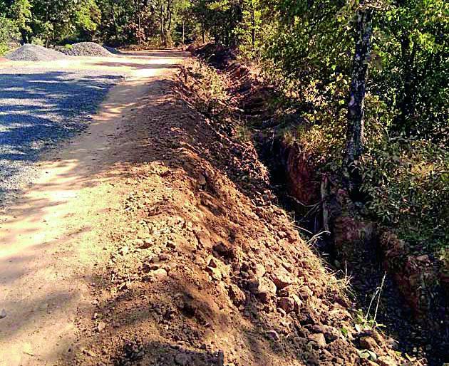 Road drain damaged trees | रस्ता नाली खोदकामात वृक्षांचे नुकसान