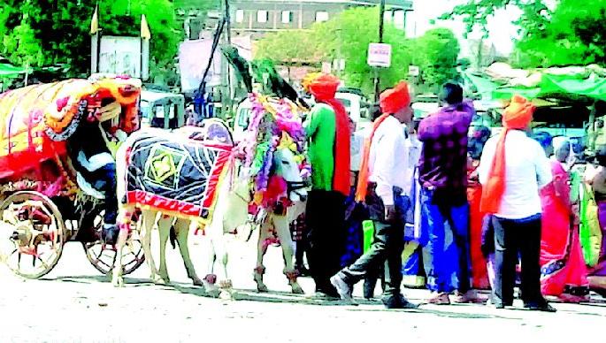 In the millions of rupees, the Goddess of Navratri went out of the ground | लाखांदुरात नवरदेवाची वरात निघाली दमणीतून In the millions of rupees, the Goddess of Navratri went out of the ground | लाखांदुरात नवरदेवाची वरात निघाली दमणीतून