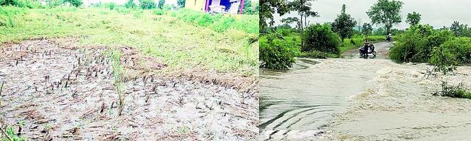 Heavy rains in 12 revenue circles in three talukas | तीन तालुक्यातील 12 महसूल मंडळात अतिवृष्टी Heavy rains in 12 revenue circles in three talukas | तीन तालुक्यातील 12 महसूल मंडळात अतिवृष्टी