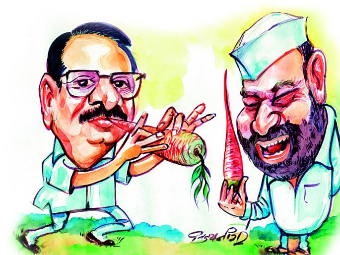 The carrots! | गाजराची पुंगी ! The carrots! | गाजराची पुंगी !