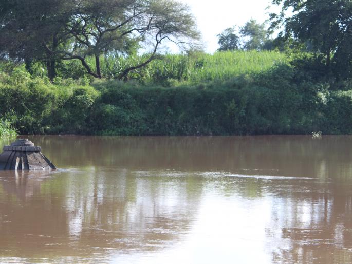 Losses of Godakath farmers | गोदाकाठच्या शेतकऱ्यांचे नुकसान Losses of Godakath farmers | गोदाकाठच्या शेतकऱ्यांचे नुकसान