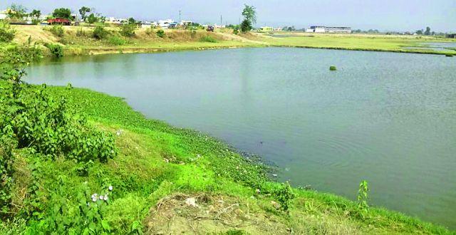 Beautification of the pond at original | मूल येथील तलावाचे होणार सौंदर्यीकरण