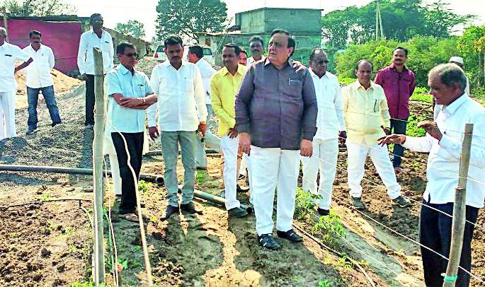 Farmers should give priority to the farming profession | शेतीपूरक व्यवसायाला शेतकऱ्यांनी प्राधान्य द्यावे