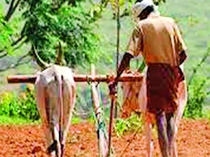 Farmers worry about labor when there is financial crisis | आर्थिक कोंडी असताना शेतकऱ्यांना मजुरांची चिंता Farmers worry about labor when there is financial crisis | आर्थिक कोंडी असताना शेतकऱ्यांना मजुरांची चिंता