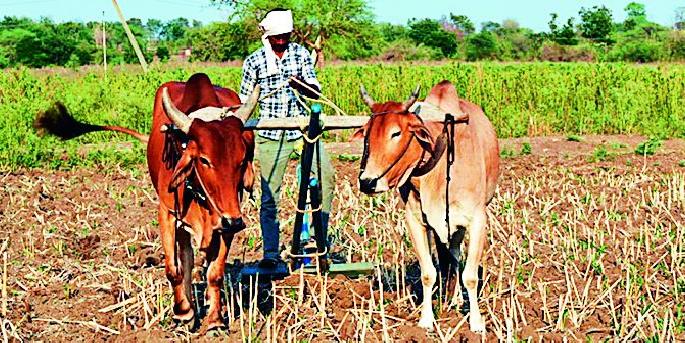 Target one thousand crore, loan disbursement only 23 crore | उद्दिष्ट एक हजार कोटी, कर्जवितरण फक्त २३ कोटी Target one thousand crore, loan disbursement only 23 crore | उद्दिष्ट एक हजार कोटी, कर्जवितरण फक्त २३ कोटी