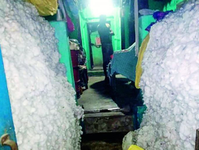 Purchase of cotton at a lower rate than guaranteed | हमीभावापेक्षा कमी दराने कापसाची खरेदी Purchase of cotton at a lower rate than guaranteed | हमीभावापेक्षा कमी दराने कापसाची खरेदी