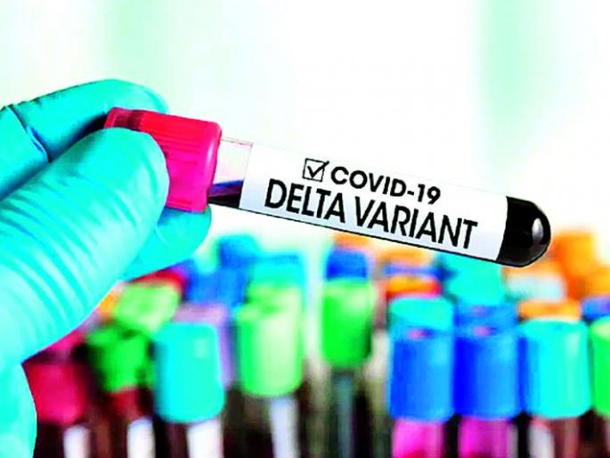 Delta Plus patient found in Bhadravati | भद्रावतीत आढळला डेल्टा प्लसचा रुग्ण Delta Plus patient found in Bhadravati | भद्रावतीत आढळला डेल्टा प्लसचा रुग्ण
