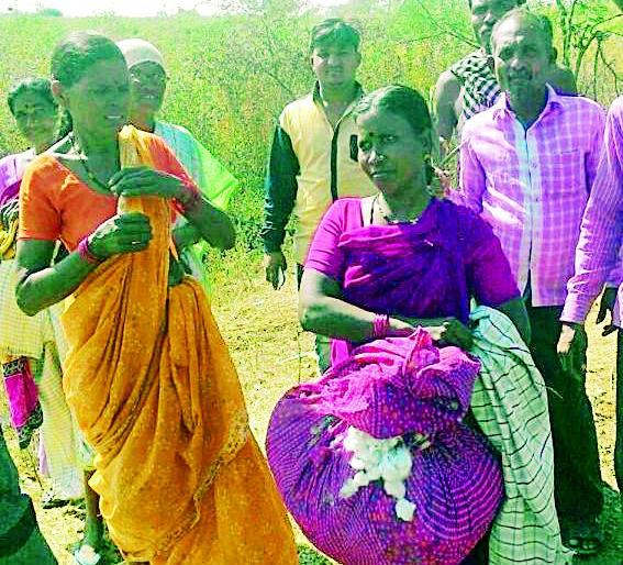 And the cotton slopes became line shield | अन् कापसाचे गाठोडे बनले रेखाची ढाल And the cotton slopes became line shield | अन् कापसाचे गाठोडे बनले रेखाची ढाल