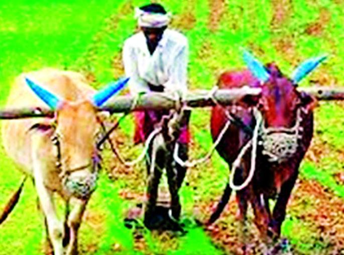 Awaiting regular borrower grants in the district | जिल्ह्यातील नियमित कर्जदार अनुदानाच्या प्रतीक्षेत