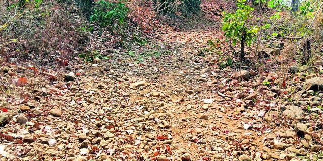 After 70 years Khadki Kollam got the road to Gudiya | ७० वर्षानंतर खडकी कोलाम गुड्याला मिळाला रस्ता After 70 years Khadki Kollam got the road to Gudiya | ७० वर्षानंतर खडकी कोलाम गुड्याला मिळाला रस्ता