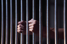 Detained criminals in Seed Chari | बियाणे चारीतील अट्टल गुन्हेगार ताब्यात Detained criminals in Seed Chari | बियाणे चारीतील अट्टल गुन्हेगार ताब्यात