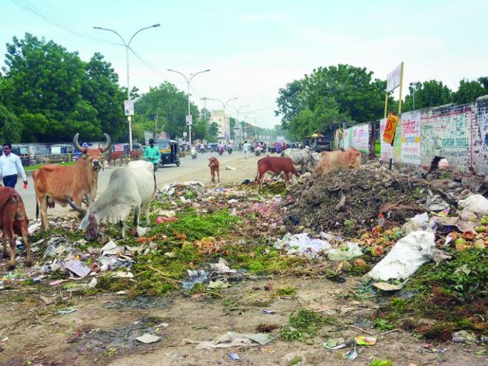 Lack of infrastructure; Akola Municipal 'Flop Show' | मूलभूत सुविधांची वानवा; महापालिकेचा ‘फ्लॉप शो’ 