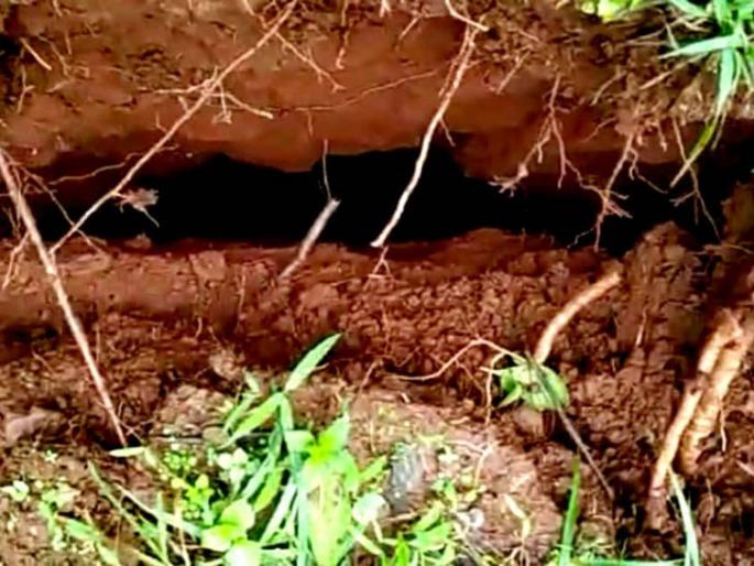 The 'edge' of Shiv Baba Rai has fallen | आजऱ्यातील शिवबाच्या राईचा ‘कडा’ खचला The 'edge' of Shiv Baba Rai has fallen | आजऱ्यातील शिवबाच्या राईचा ‘कडा’ खचला