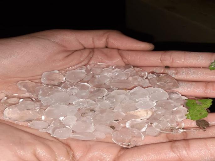 Precipitation rains in Jalgaon district | जळगाव जिल्ह्याला अवकाळी पावसाचा फटका Precipitation rains in Jalgaon district | जळगाव जिल्ह्याला अवकाळी पावसाचा फटका