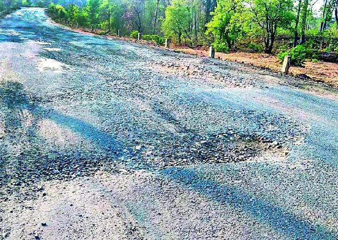  Sironcha-Patagunda road paved | सिरोंचा-पातागुडम मार्ग खड्डेमय