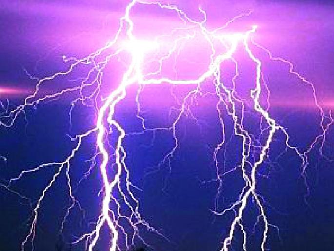 Be careful when lighting the visas in the rain | पावसात विजा चमकताना सावधानता बाळगा Be careful when lighting the visas in the rain | पावसात विजा चमकताना सावधानता बाळगा