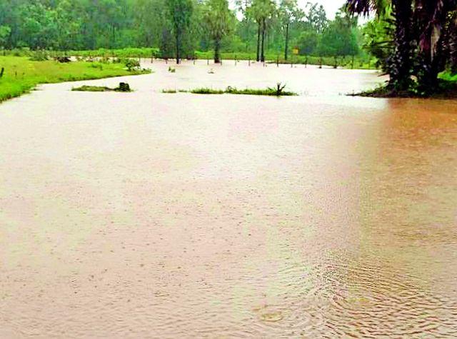 Caterpillar damage | नाला बांधकामाने नुकसान Caterpillar damage | नाला बांधकामाने नुकसान