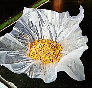 Prison ban? Not possible brother! | खºर्यावर बंदी? शक्यच नाही भाऊ! Prison ban? Not possible brother! | खºर्यावर बंदी? शक्यच नाही भाऊ!