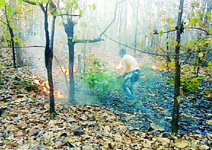 Many places forest firefighters | अनेक ठिकाणचे जंगल आगीच्या भक्ष्यस्थानी