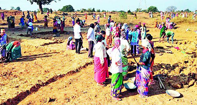 Shepard deprives Roho's work | शेंडावासी रोहयोच्या कामापासून वंचित