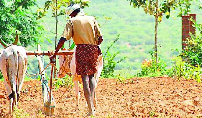 The start of the work of sowing started | पेरणीच्या कामाला जोमाने सुरुवात The start of the work of sowing started | पेरणीच्या कामाला जोमाने सुरुवात