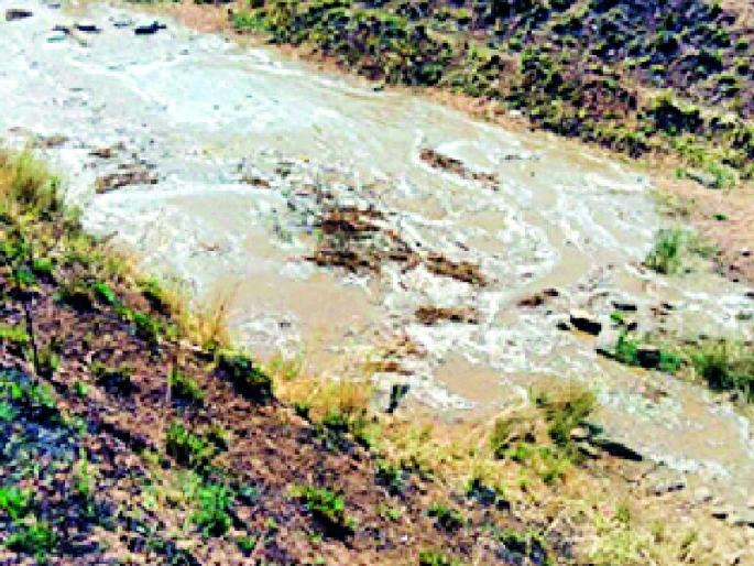 Damage to the priest for second time | दुसऱ्यांदा सोडले पुजारीटोला धरणाचे पाणी Damage to the priest for second time | दुसऱ्यांदा सोडले पुजारीटोला धरणाचे पाणी