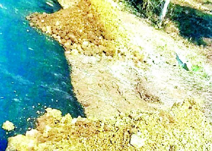 Use of Bhasi instead of Muru in road construction | रस्ता बांधकामात मुरुमाऐवजी भिसीचा वापर Use of Bhasi instead of Muru in road construction | रस्ता बांधकामात मुरुमाऐवजी भिसीचा वापर