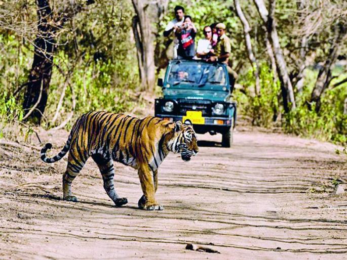 Now the forest tour will be closed on Saturday and Sunday | आता शनिवार, रविवारी वनपर्यटन राहणार बंद