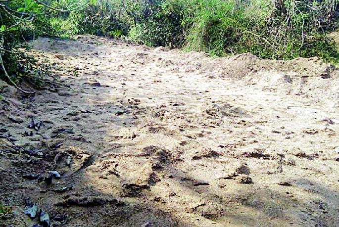 Illegally illegal sand mining from the white premises | पांढरी परिसरातून रेतीचा अवैध उपसा सुरूच Illegally illegal sand mining from the white premises | पांढरी परिसरातून रेतीचा अवैध उपसा सुरूच