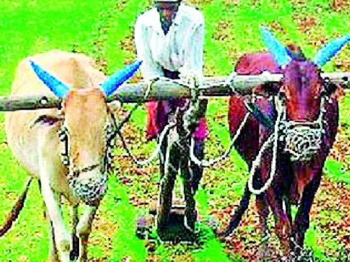 Announcement of plans but when is the benefit? | योजनांची घोषणा केली मात्र लाभ केव्हा? Announcement of plans but when is the benefit? | योजनांची घोषणा केली मात्र लाभ केव्हा?