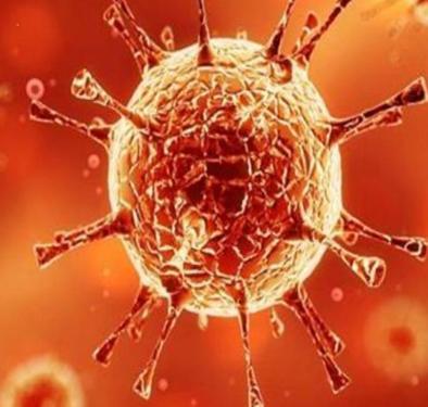 Weed scared by fake message on social media | सोशल मीडियावरील बनावट संदेशामुळे खरपुडीकर भयभीत Weed scared by fake message on social media | सोशल मीडियावरील बनावट संदेशामुळे खरपुडीकर भयभीत