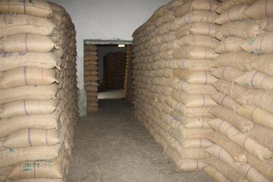 The 'break' to pigeon purchasing due to lack of godown | जागेअभावी तूर खरेदीला ‘ब्रेक’ The 'break' to pigeon purchasing due to lack of godown | जागेअभावी तूर खरेदीला ‘ब्रेक’