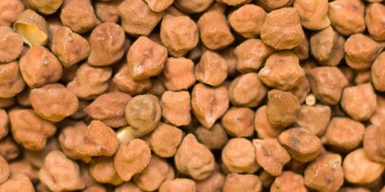 225 Quintles Split Chickpeas purchased in 3 days | तीन दिवसांत सव्वादोनशे क्विंटल हरभरा खरेदी 225 Quintles Split Chickpeas purchased in 3 days | तीन दिवसांत सव्वादोनशे क्विंटल हरभरा खरेदी