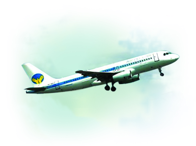 Failure to cancel the windfall | विमानफेरी रद्दचा आमदारांना फटका Failure to cancel the windfall | विमानफेरी रद्दचा आमदारांना फटका