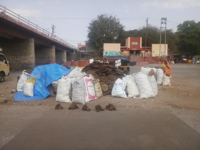 The 'cowherd' is filed on the Gauri platform | गौरी पटांगणावर ‘गोवऱ्या’ दाखल