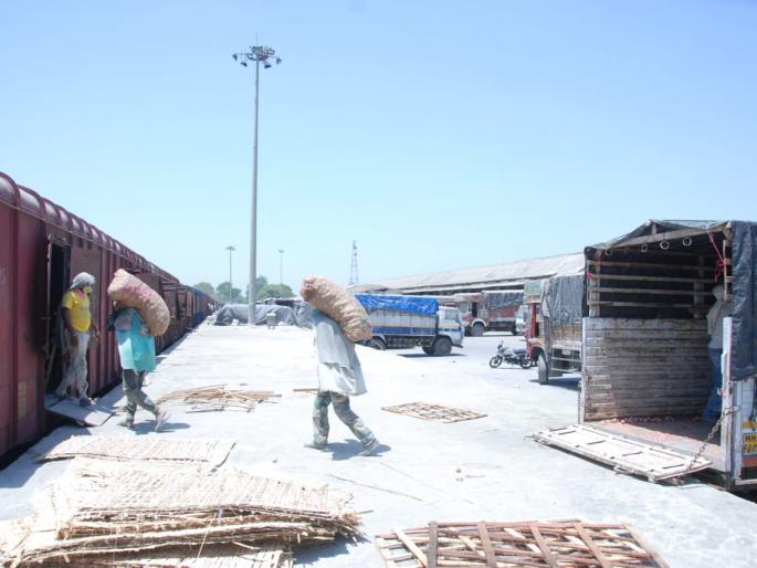 Preparing to send onions abroad | परदेशात कांदा पाठविण्याची तयारी Preparing to send onions abroad | परदेशात कांदा पाठविण्याची तयारी