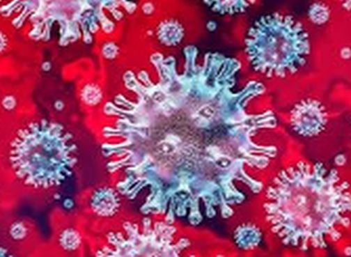 In Nandurbar, the reports of the three are positive | नंदुरबारात तिघांचे अहवाल पॉझिटिव्ह In Nandurbar, the reports of the three are positive | नंदुरबारात तिघांचे अहवाल पॉझिटिव्ह