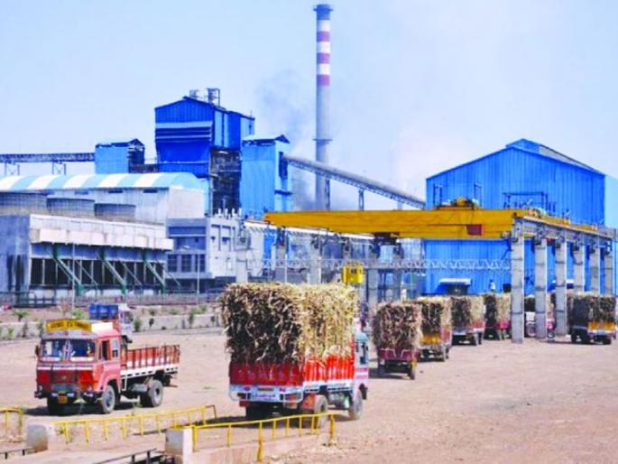 The sugar season was also prolonged by prolonged rains | लांबलेल्या पावसामुळे साखर हंगामही लांबला The sugar season was also prolonged by prolonged rains | लांबलेल्या पावसामुळे साखर हंगामही लांबला