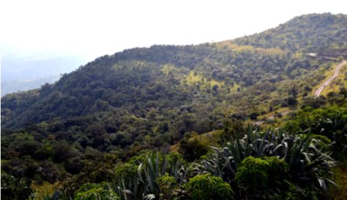 Tourists wait at Toranmal | तोरणमाळला पर्यटकांची प्रतीक्षा Tourists wait at Toranmal | तोरणमाळला पर्यटकांची प्रतीक्षा