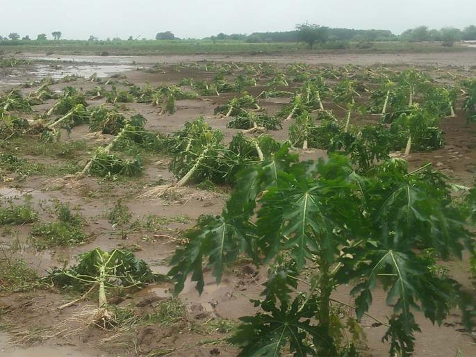 Conversion of fields into river-drain | शेतांचे नदी-नाल्यात रुपांतर