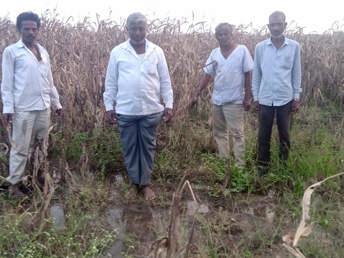What happened to the donations? The question of farmers | पंचनामे झाले, अनुदानाचे काय? शेतकऱ्यांचा सवाल What happened to the donations? The question of farmers | पंचनामे झाले, अनुदानाचे काय? शेतकऱ्यांचा सवाल
